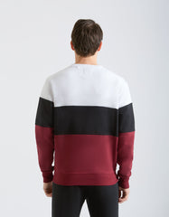 Felpa girocollo colorblock