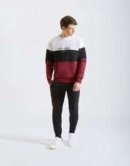 Felpa girocollo colorblock