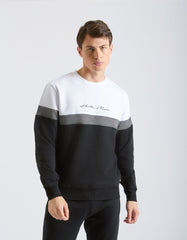 Colorblock Crew neck sweater