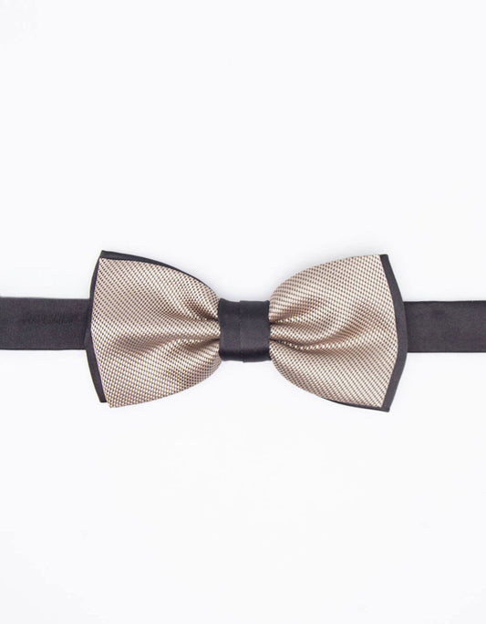 Papillon fantasia