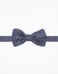 Fancy Papillon