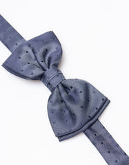 Papillon fantasia
