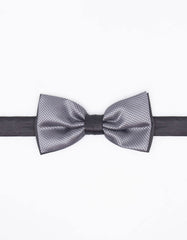 Fancy Papillon