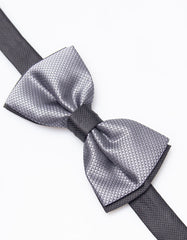 Fancy Papillon
