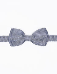 Fancy Papillon