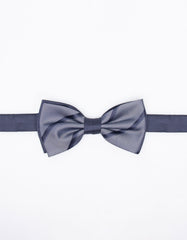 Fancy Papillon