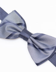 Fancy Papillon