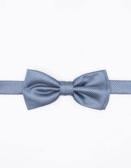 Fancy Papillon