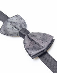 Fancy Papillon