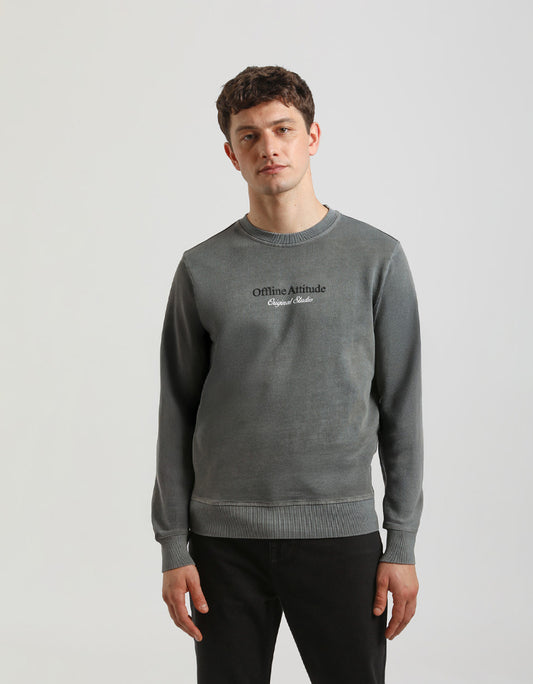 Crewneck sweatshirt 100% cotton