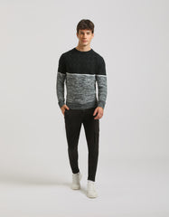 colorblock crew neck sweater