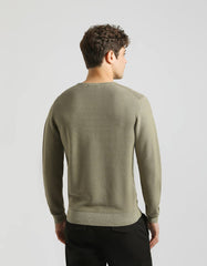 Crewneck sweater 100% cotton