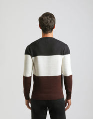 Colorblock crewneck sweater