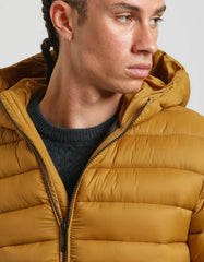 Padded jacket with hood