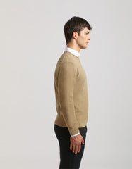 Crewneck sweater 100% cotton