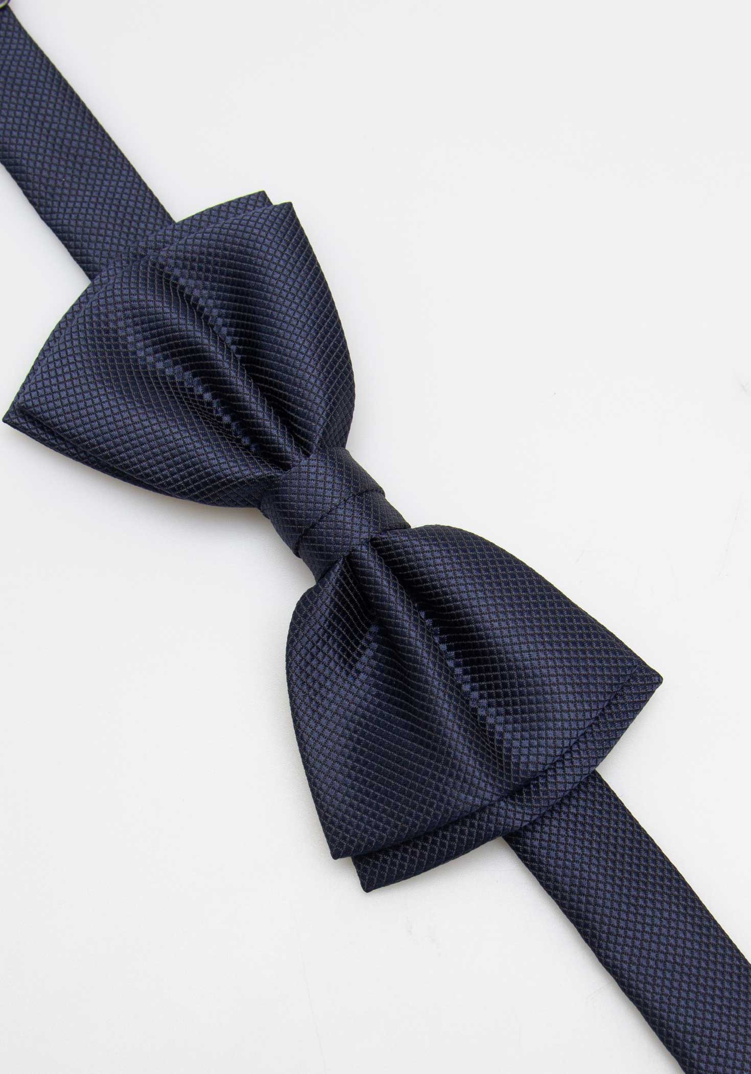 Papillon fantasia|Colore:Blue