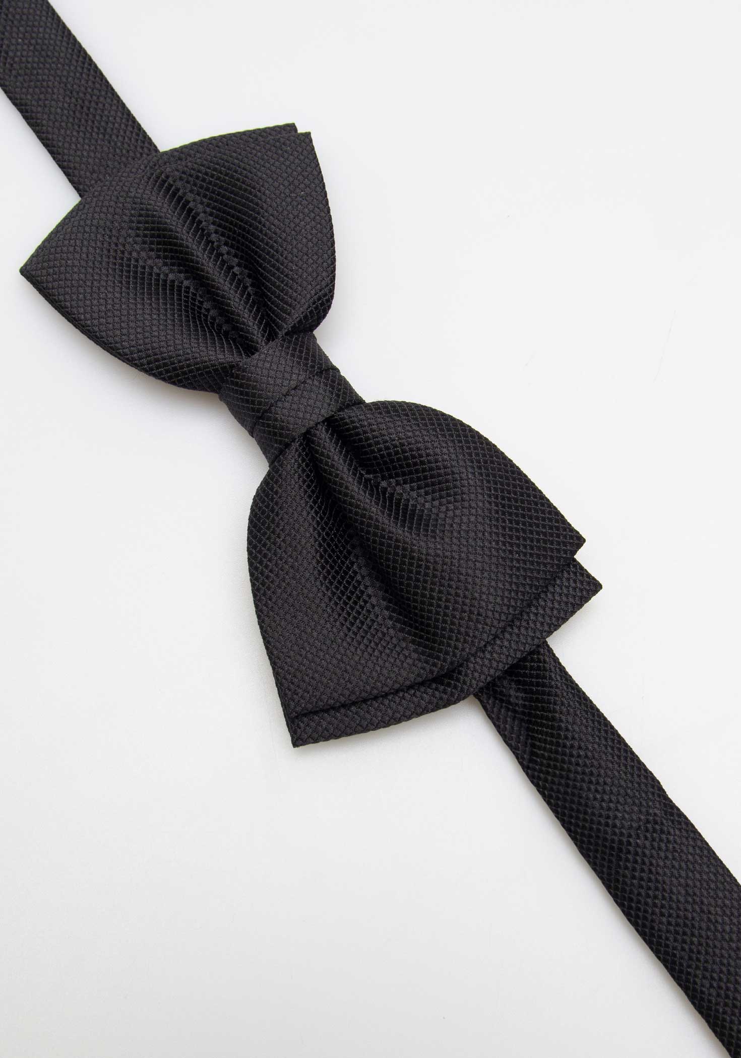 Papillon fantasia|Colore:Nero