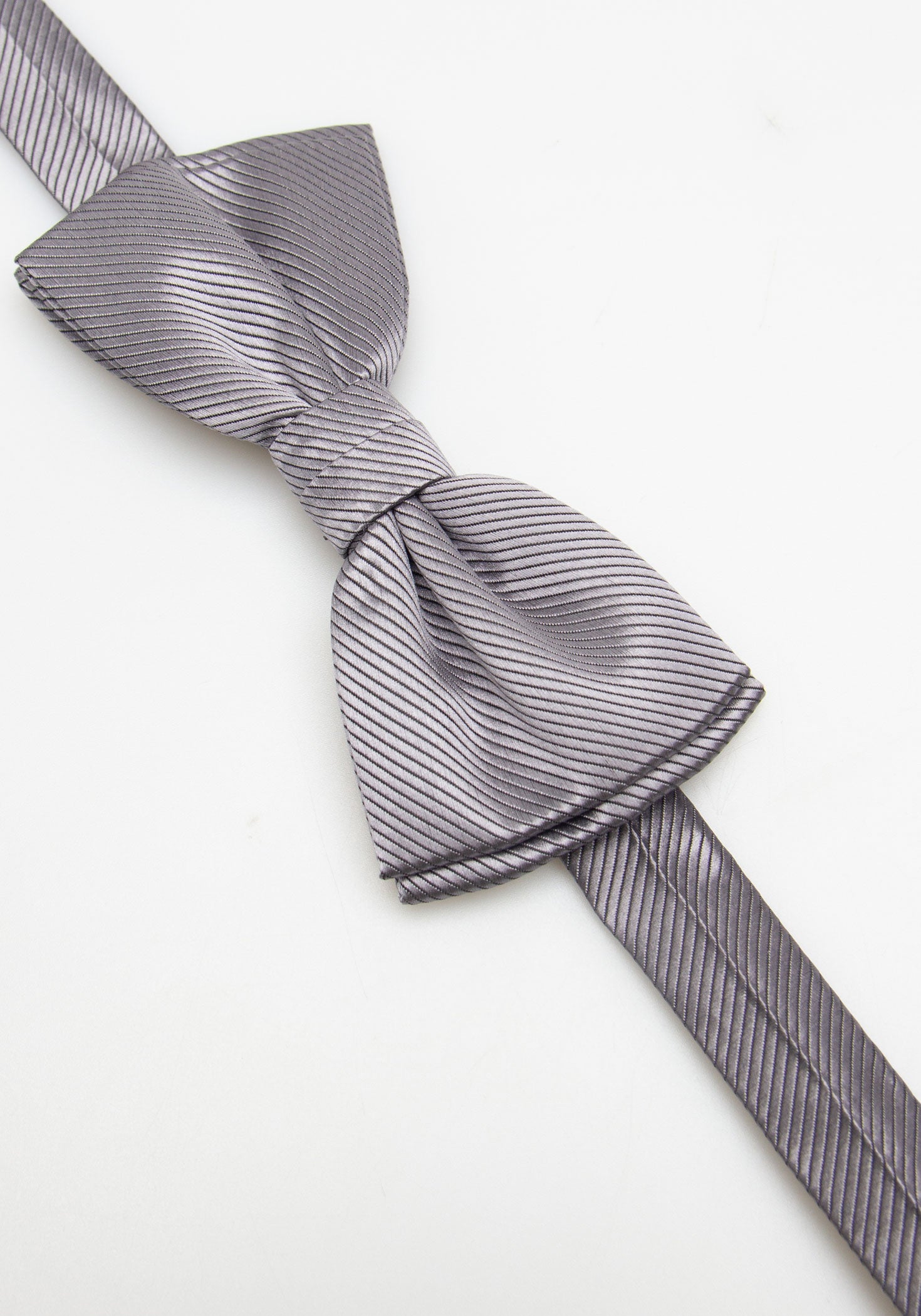 Papillon fantasia|Colore:Grigio