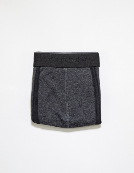 Boxer basic