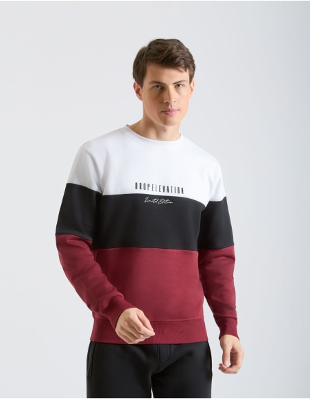 Felpa da uomo collezione Autunno Inverno 2024